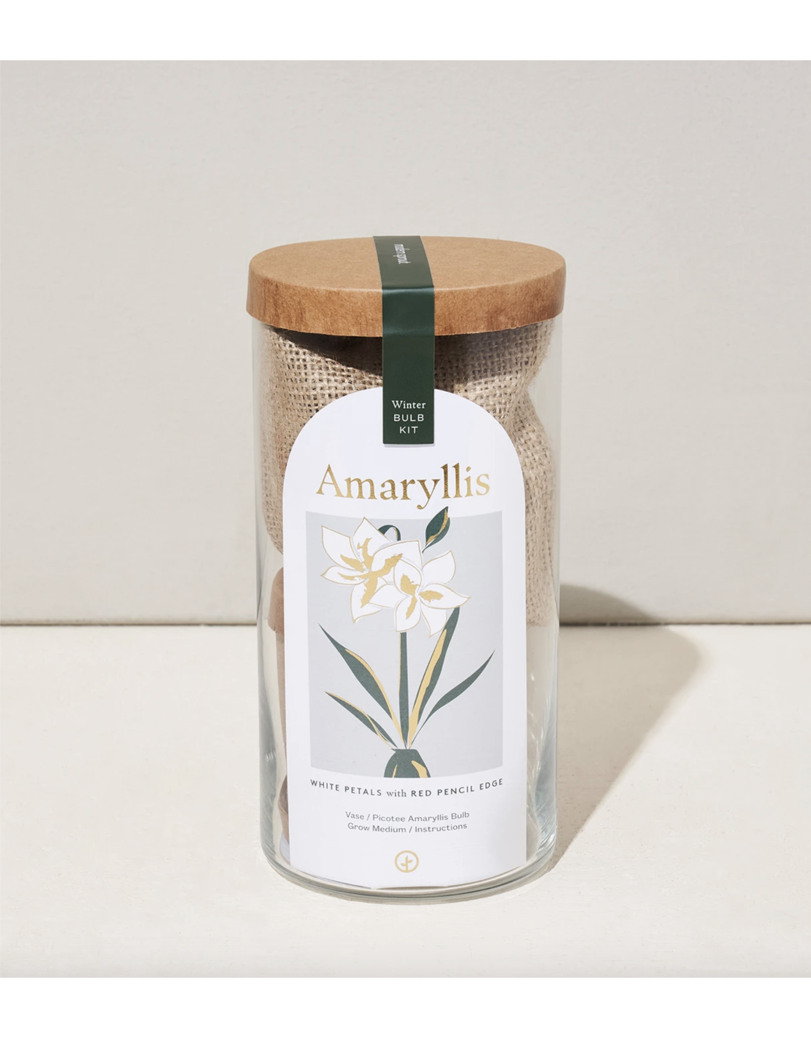 Red Amaryllis Winter Bulb Grow Kit