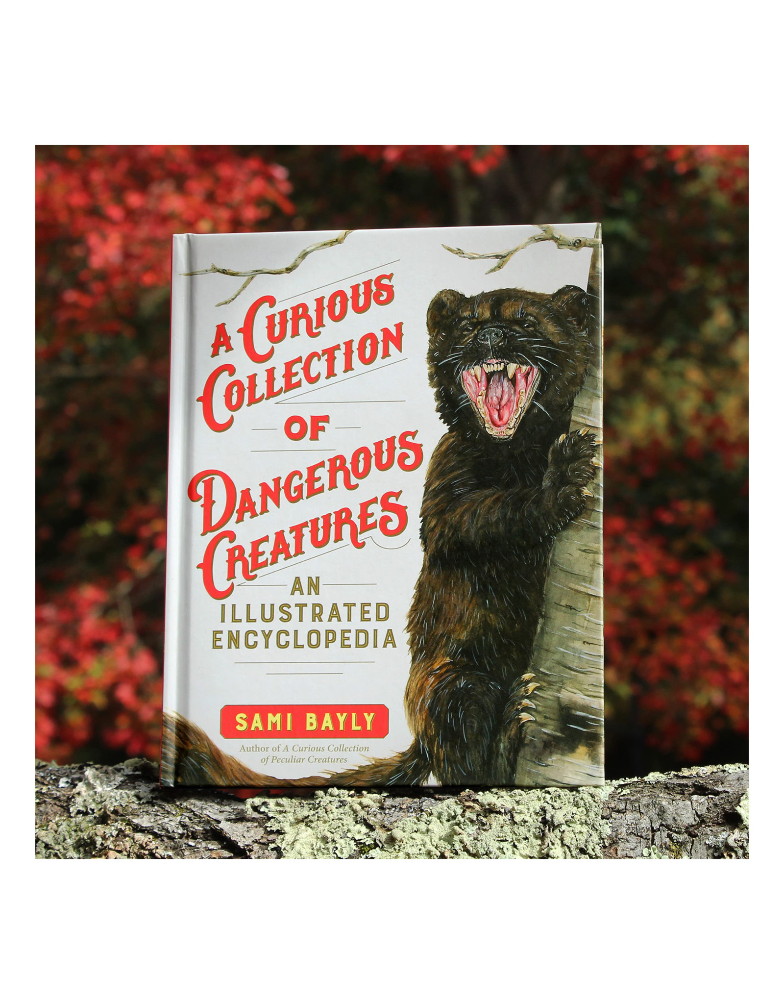 A Curious Collection of Dangerous Creatures