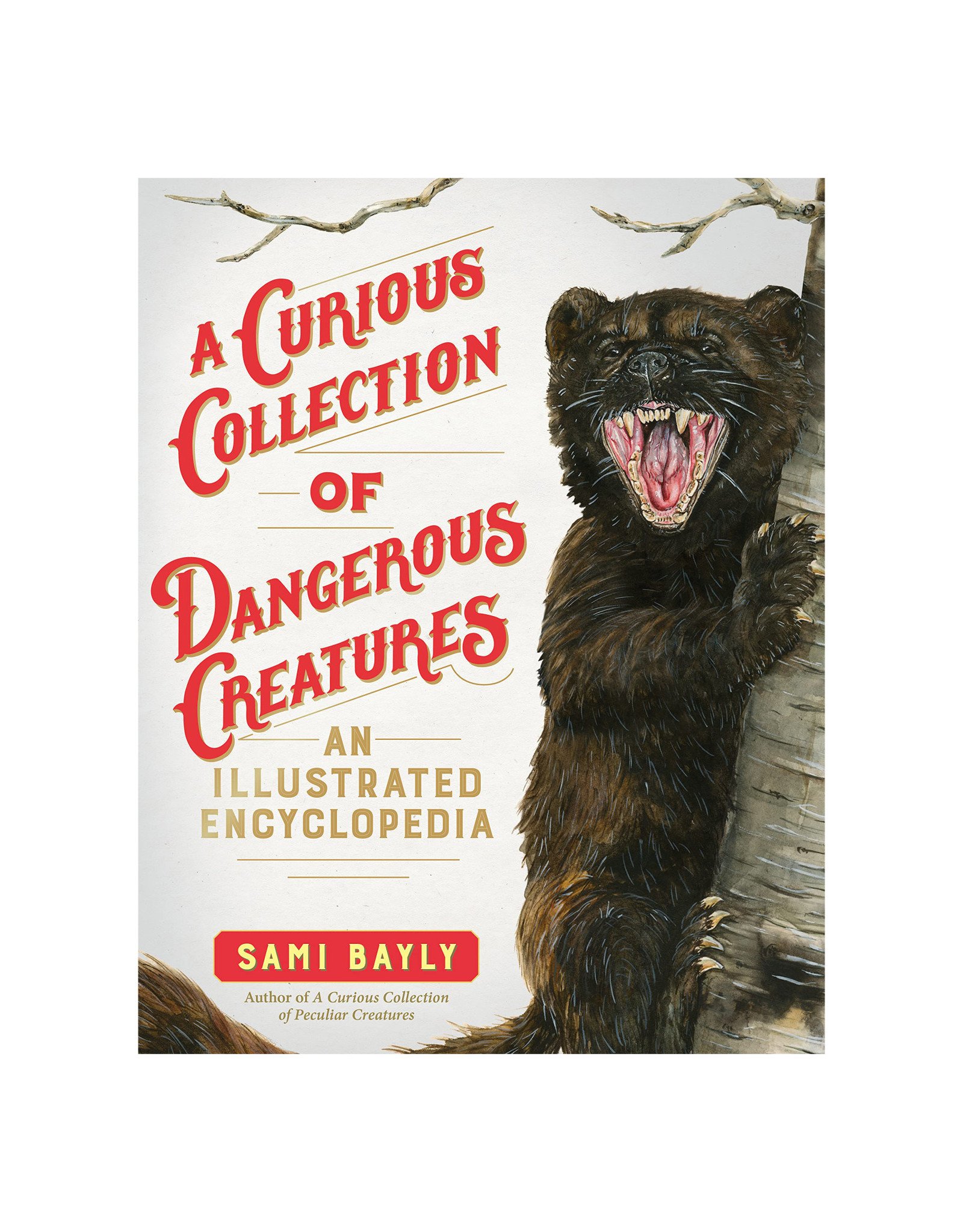 A Curious Collection Of Dangerous Creatures