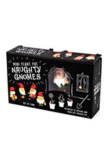 Naughty Gnomes Planter Decor