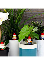 Naughty Gnomes Planter Decor