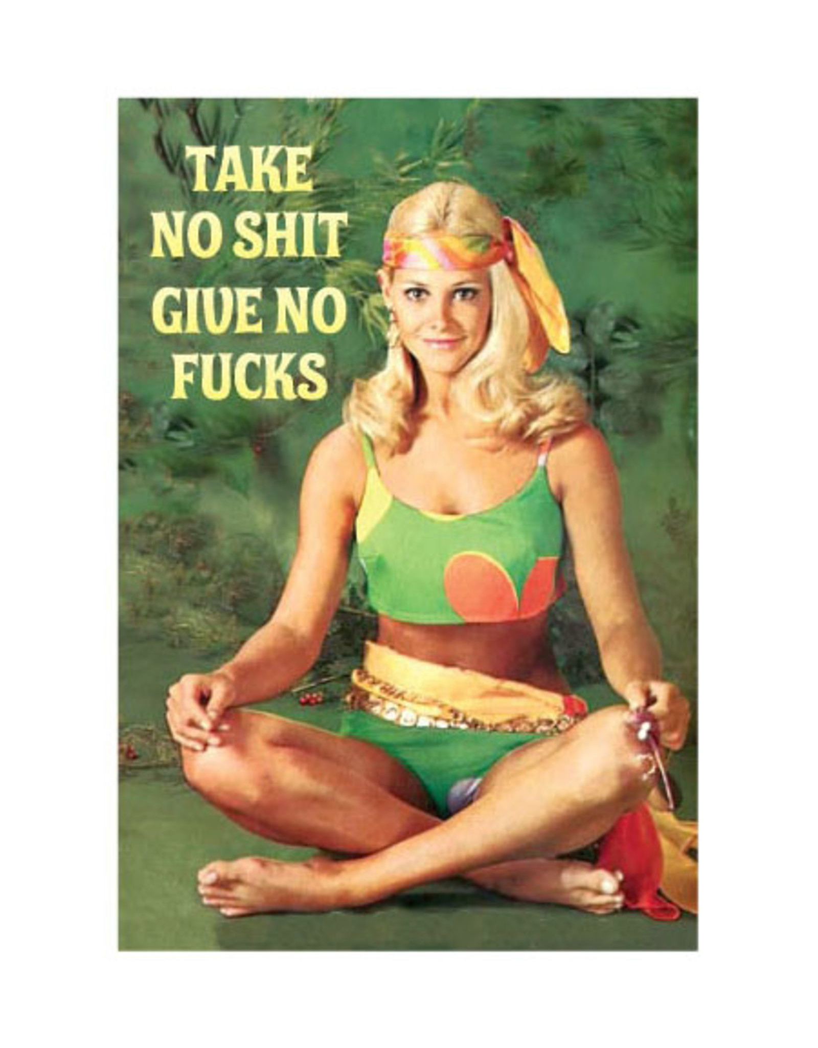 Take No Shit, Give No Fucks Magnet