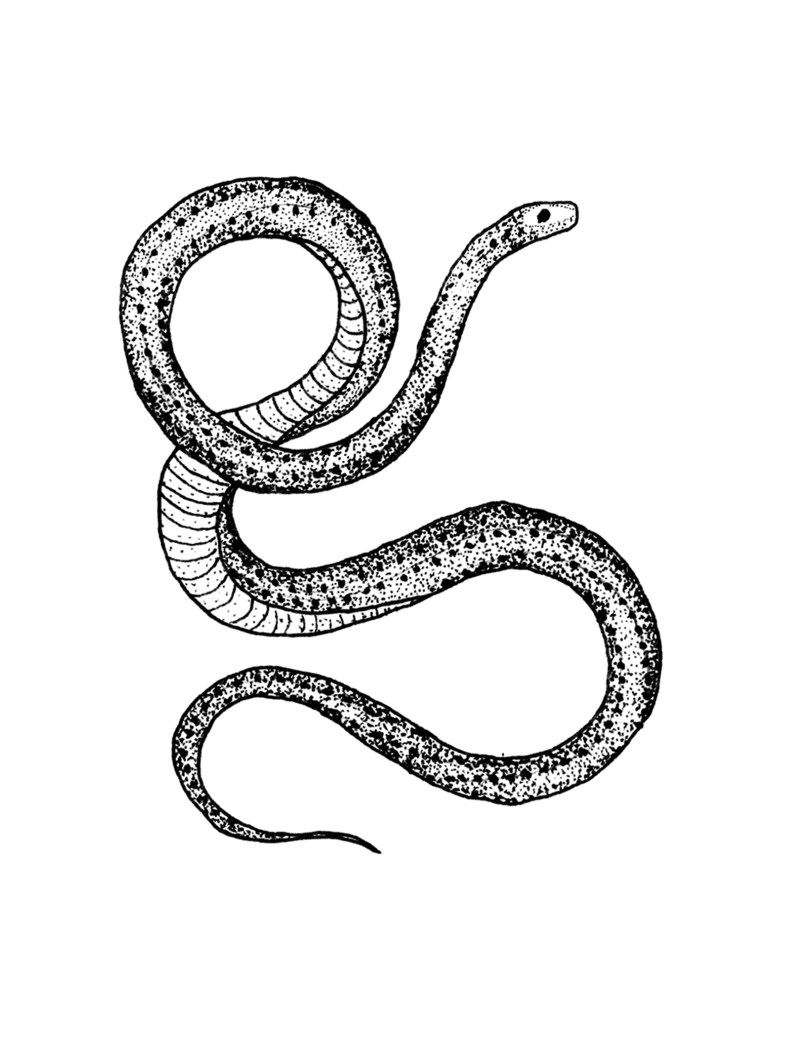 Serpent Tattoo Pair