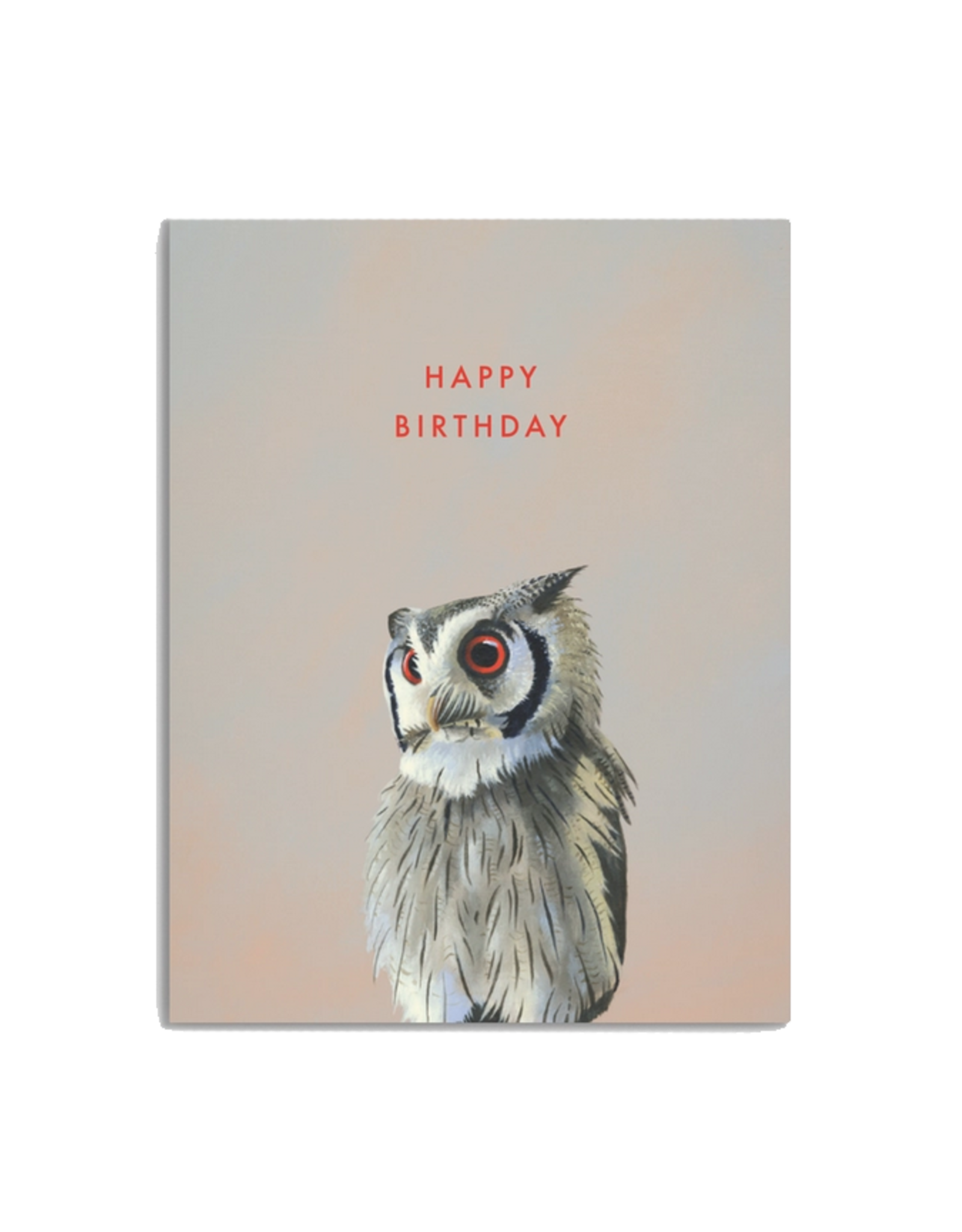 Happy Birthday Owl Greeting Card