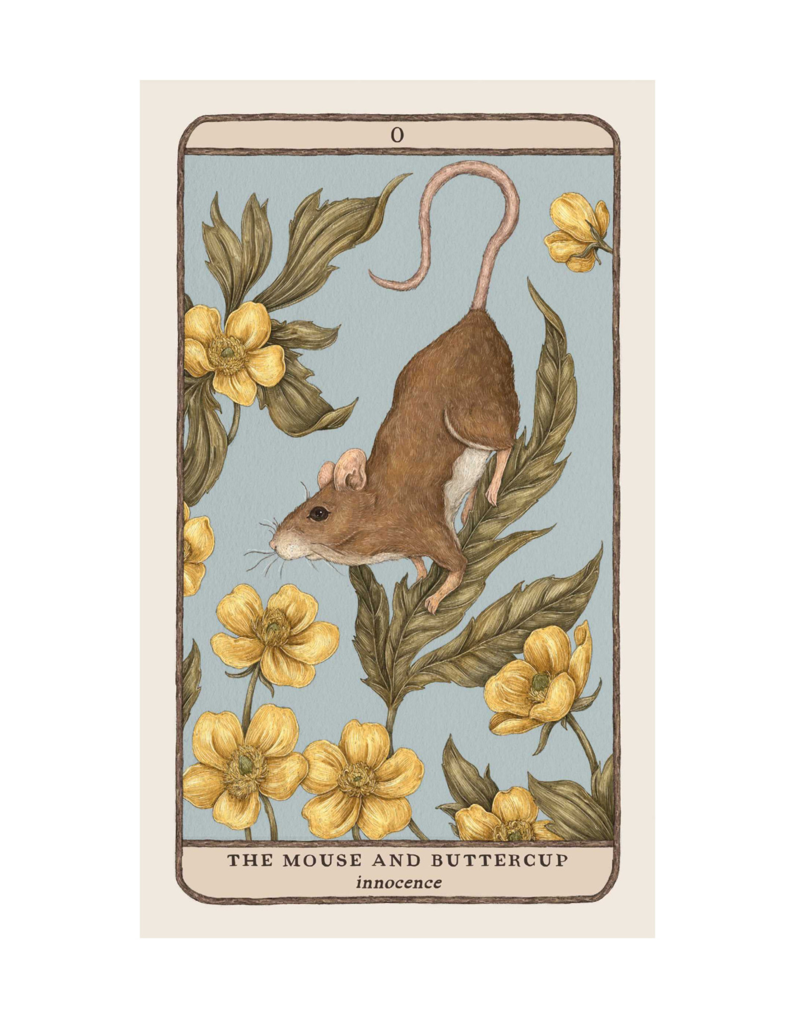 Woodland Wardens Oracle Cards