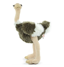 Ola the Ostrich