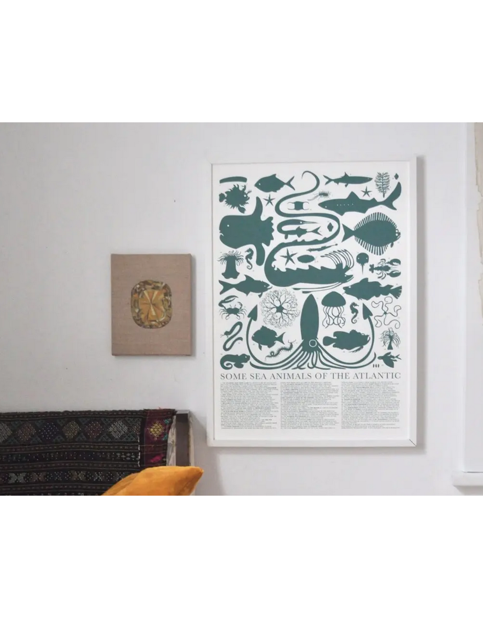 Some Sea Animals of the Atlantic Print - Home Some Sea Animals of the Atlantic Print - Home