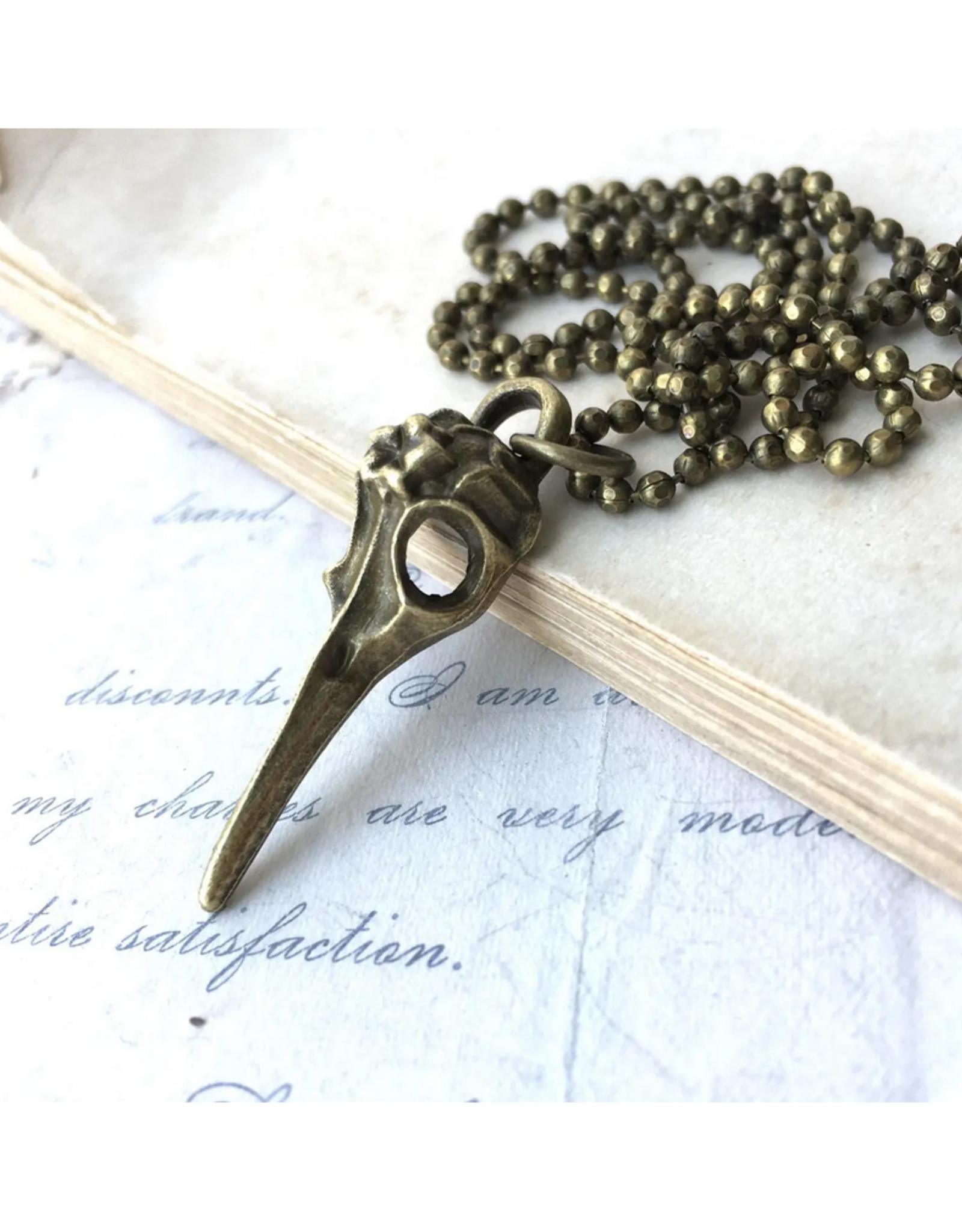 Plague Doctor Bird Skull Necklace - Brass