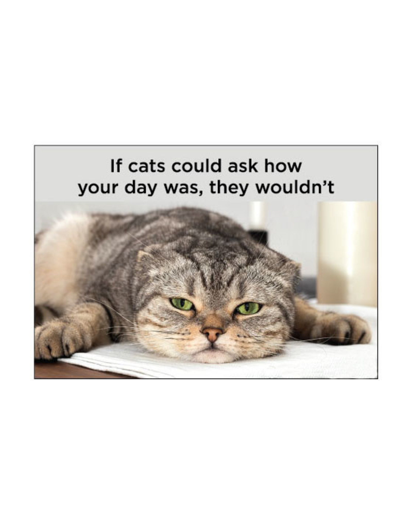 If Cats Could Ask How Your Day Was... Magnet