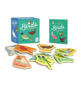 Birds Wooden Magnet Set