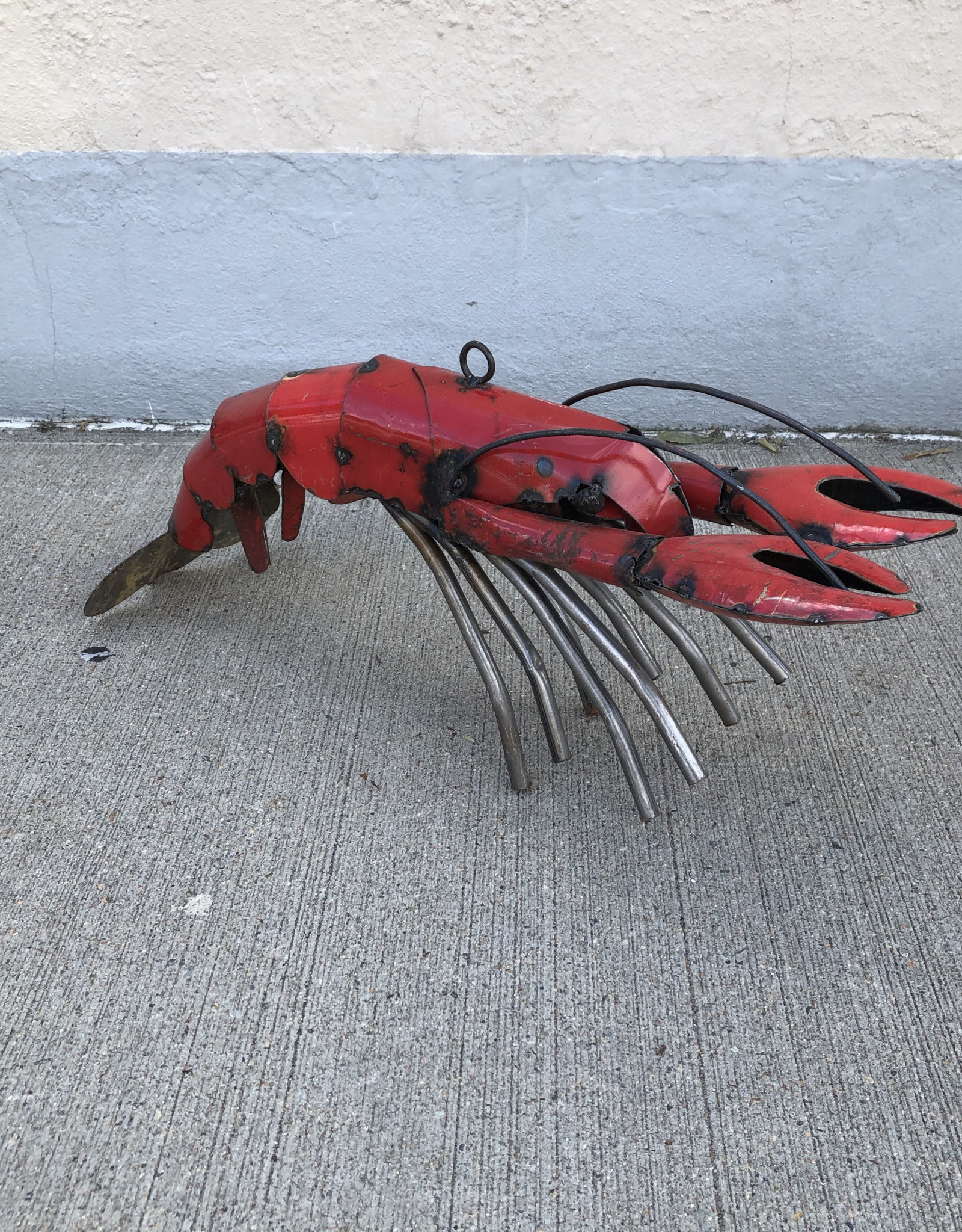 Lobster - Medium - CURBSIDE PICK UP ONLY