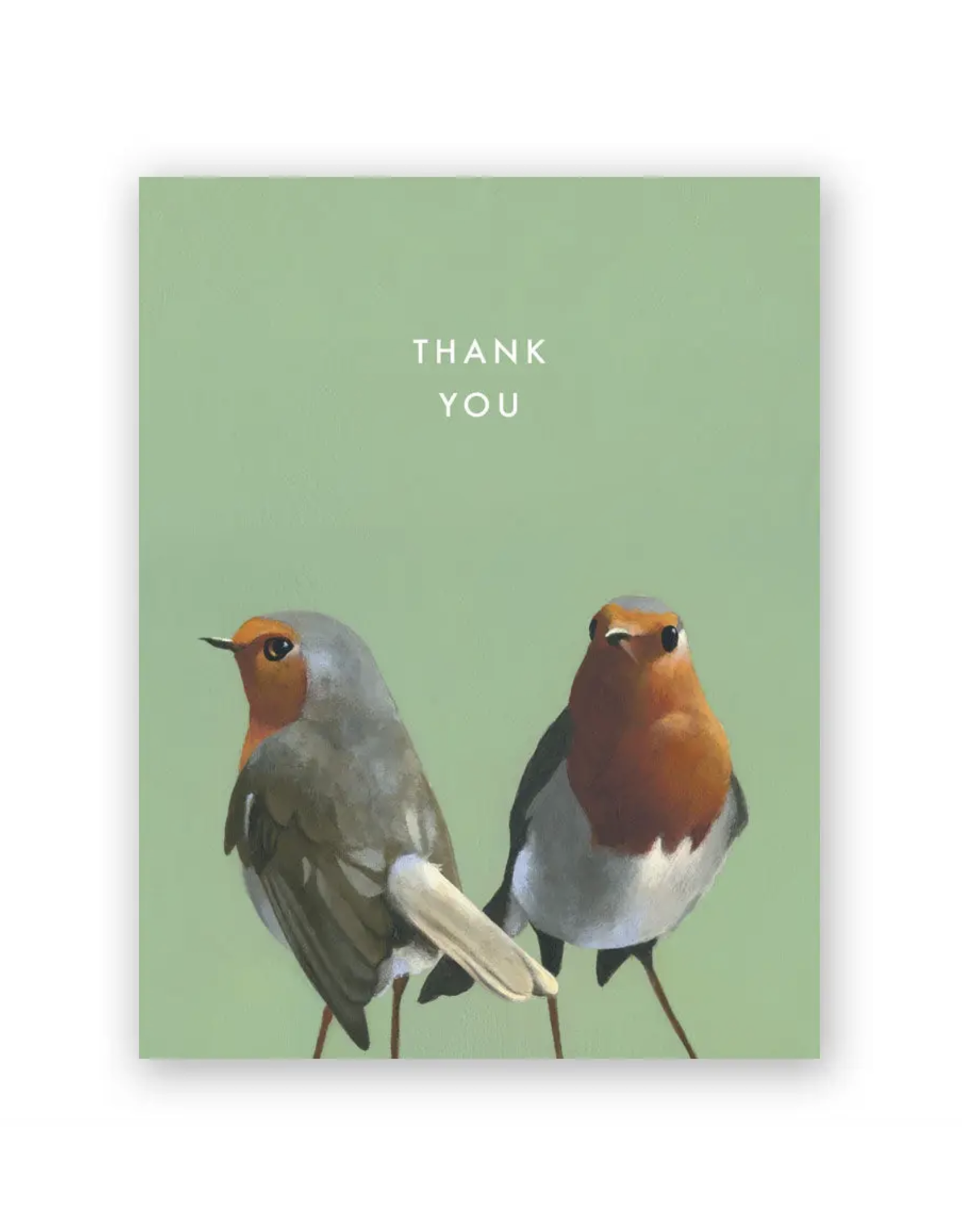 European Robin Thank You Greeting Card