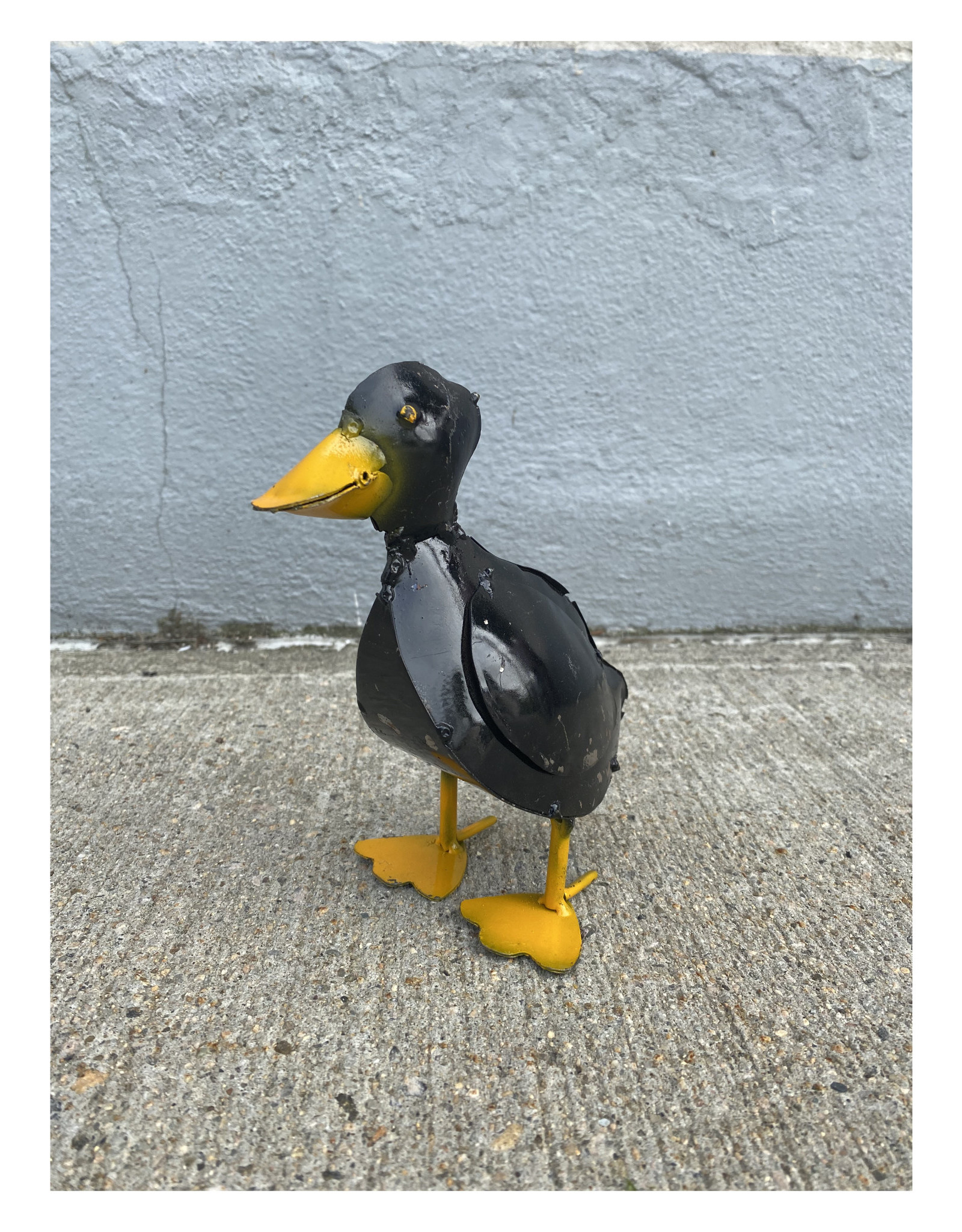 Mini Black Duckling