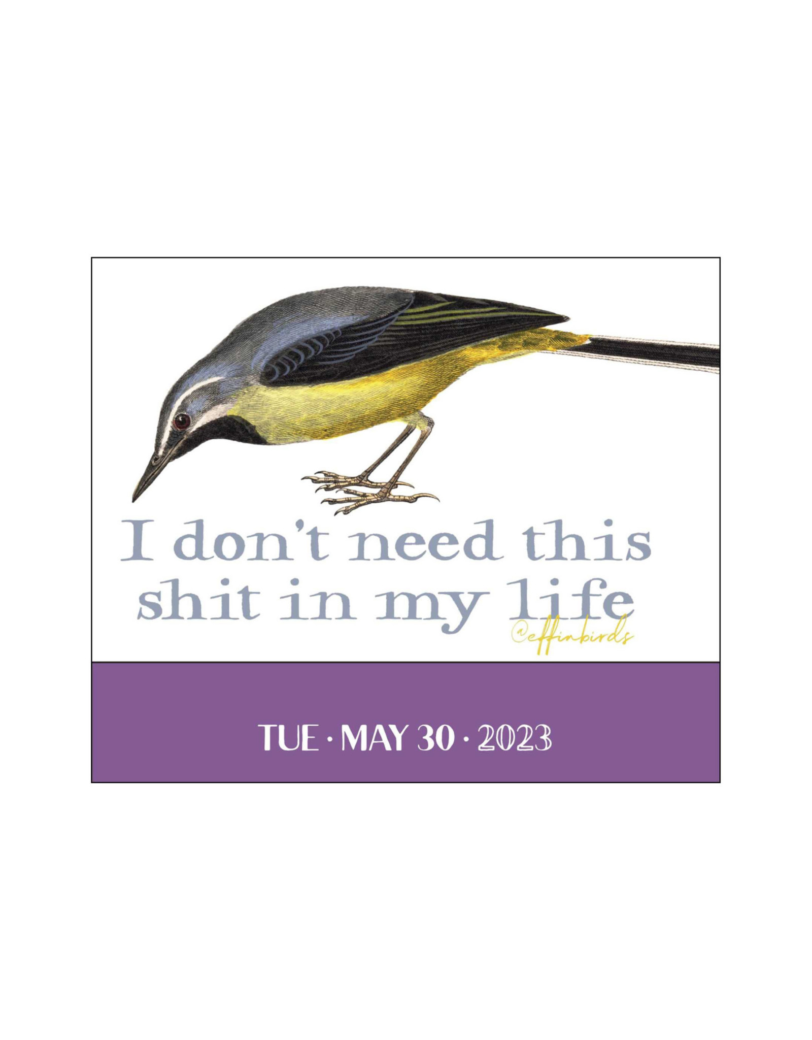 Effin Birds Daily Pad Calendar 2023