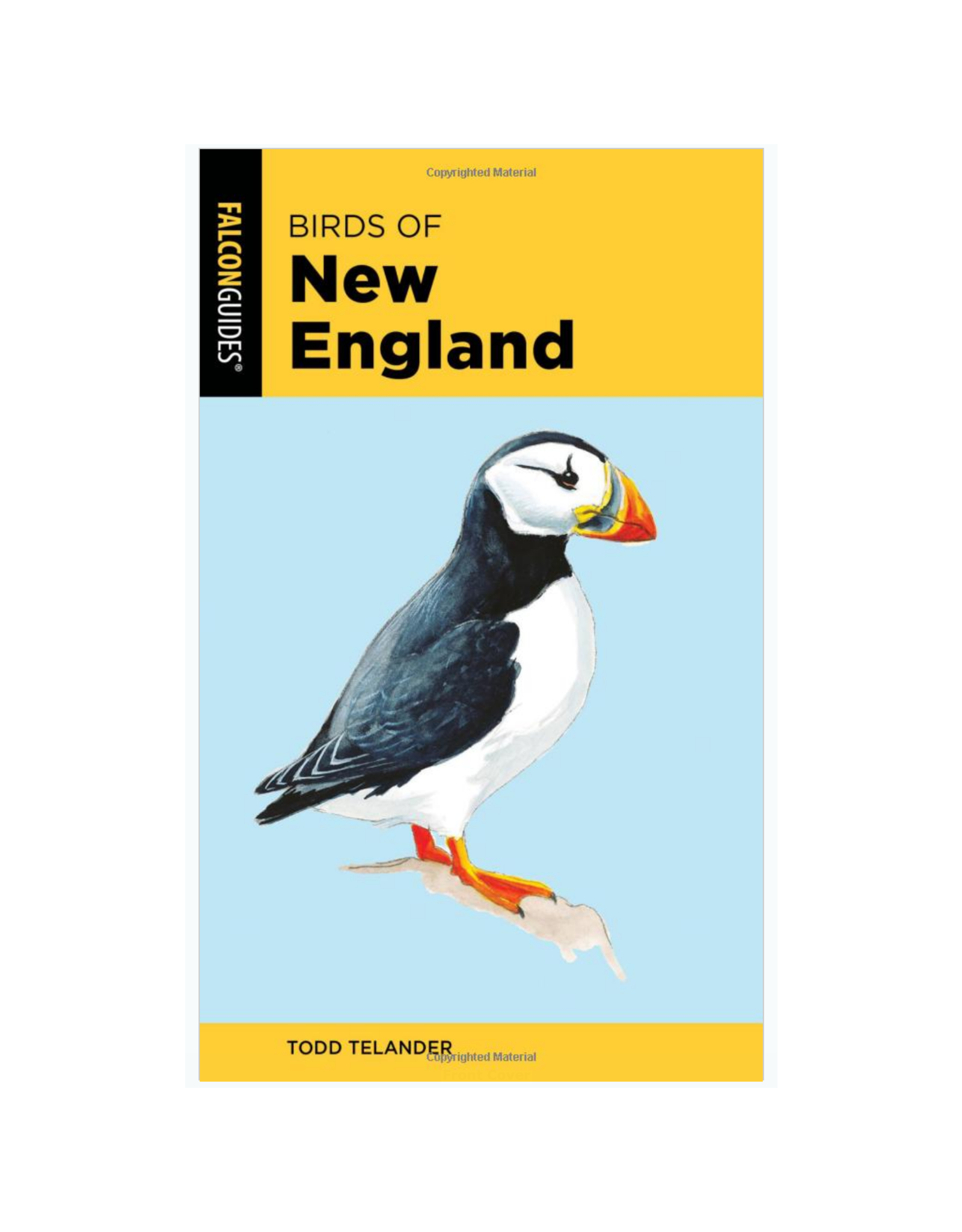Birds of New England