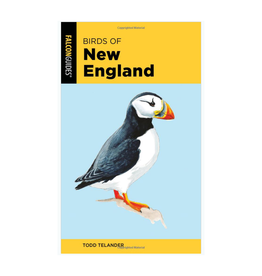 Birds of New England