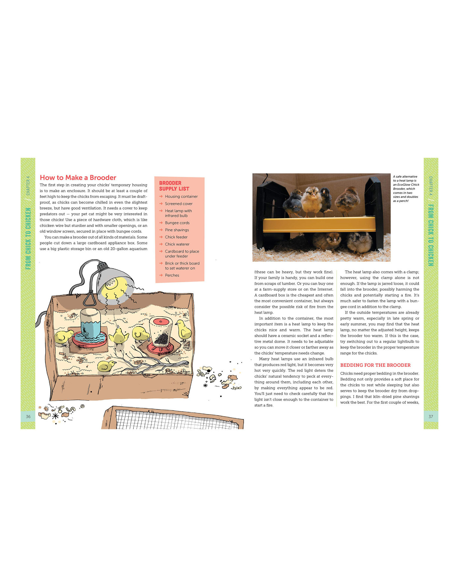 A Kid's Guide to Keeping Chickens *