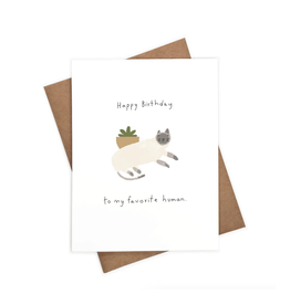 Happy Birthday to My Favorite Human Cat Greeting Card