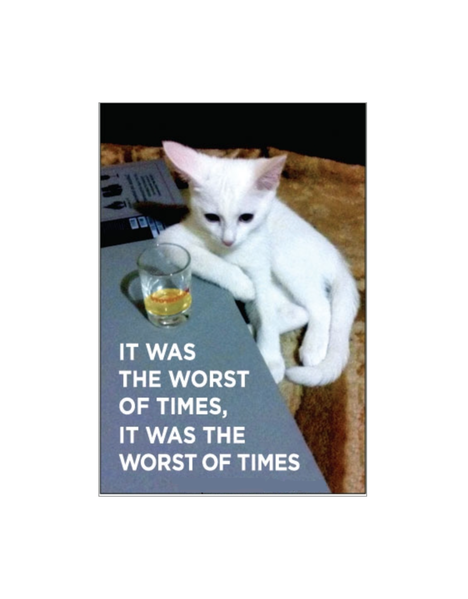 It Was the Worst of Times (Cat) Magnet