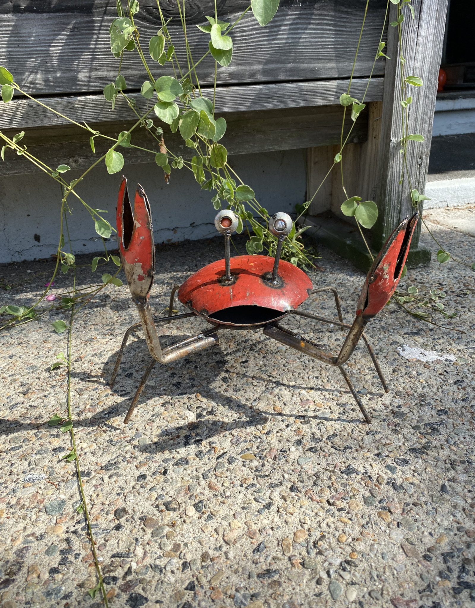 Standing Crab - CURBSIDE PICK UP ONLY