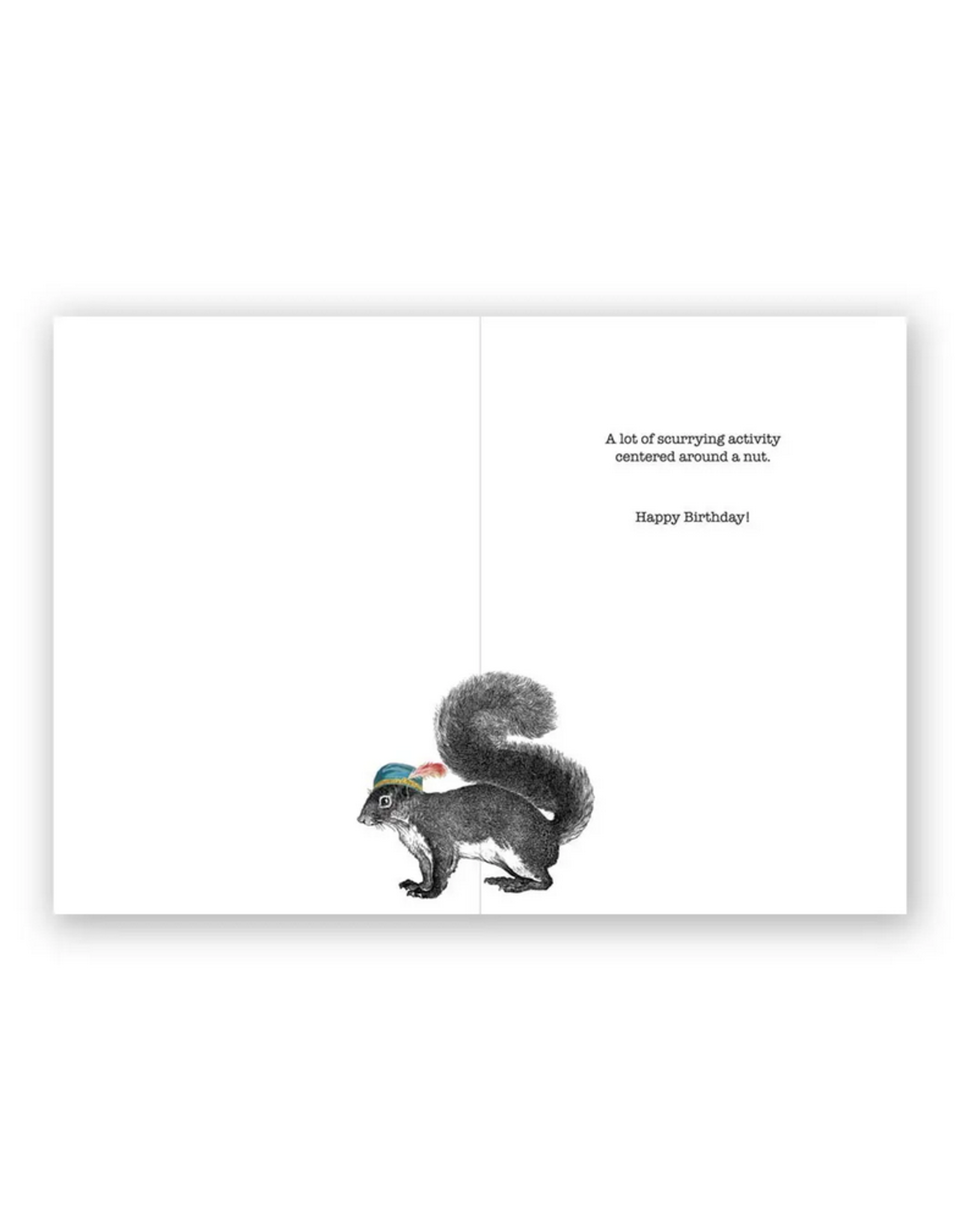 Birthdays Are Like Squirrels Greeting Card