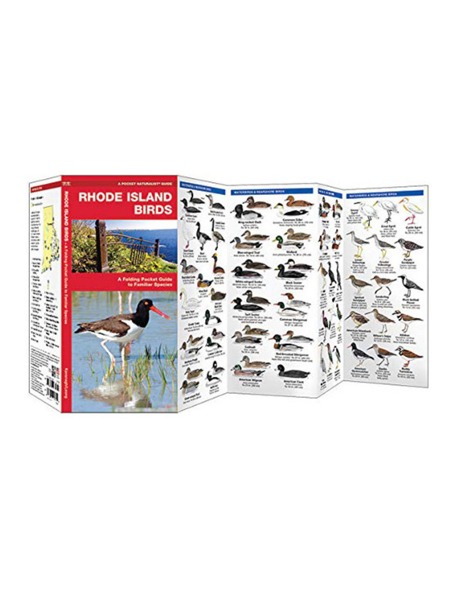 Rhode Island Birds Pocket Guide