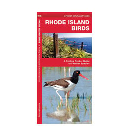 Rhode Island Birds Pocket Guide