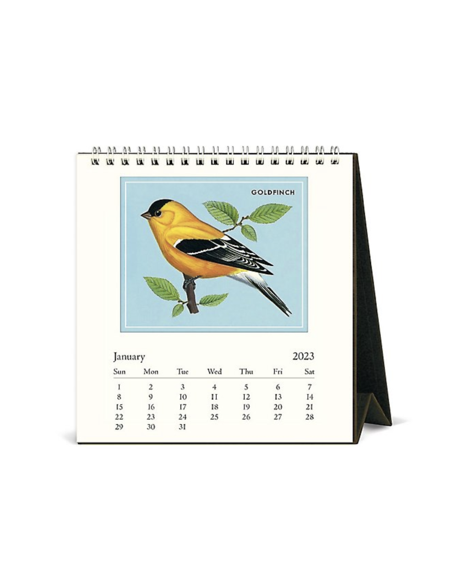 2023 Desk Calendar: Birds