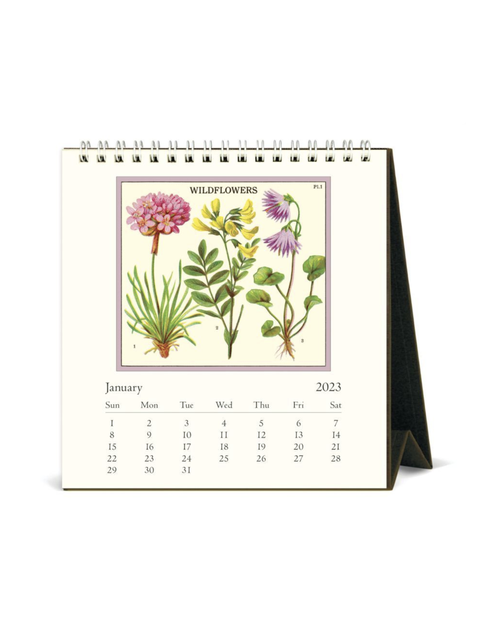 2023 Desk Calendar: Wildflowers
