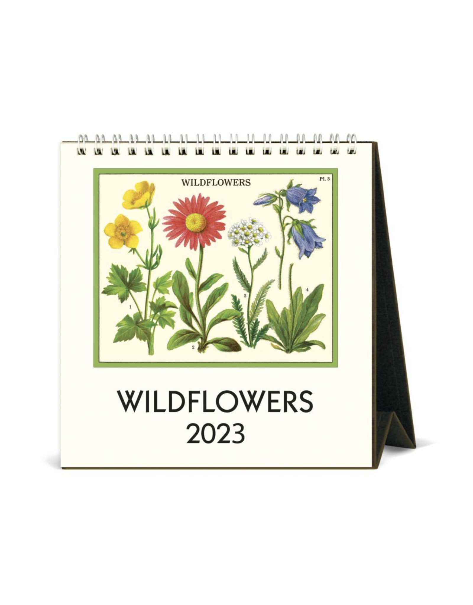 2023 Desk Calendar: Wildflowers