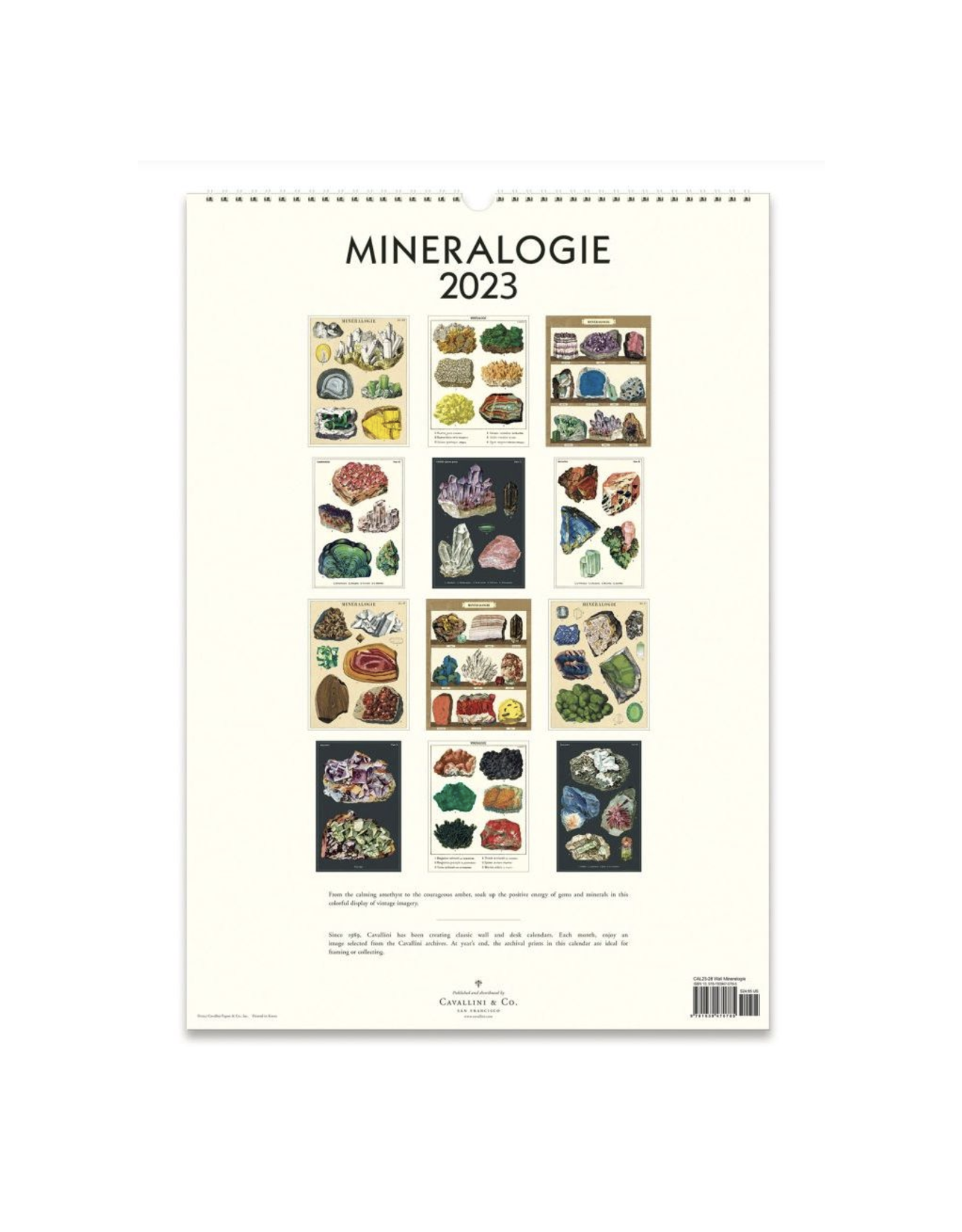 2023 Wall Calendar : Mineralogie