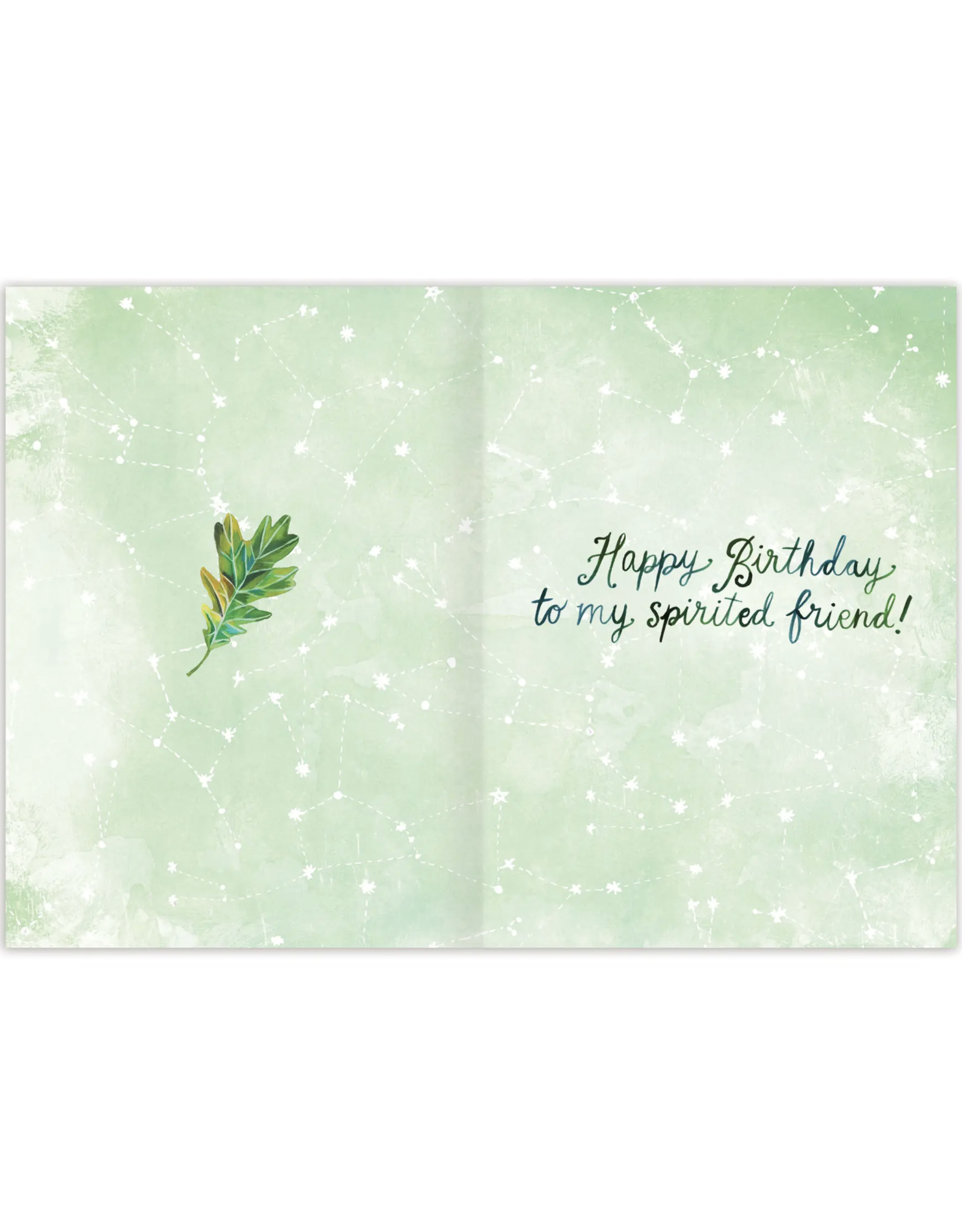 Stay Wild Birthday Greeting Card