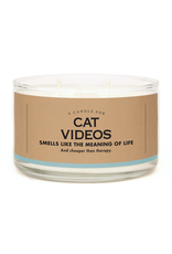 A Candle for Cat Videos