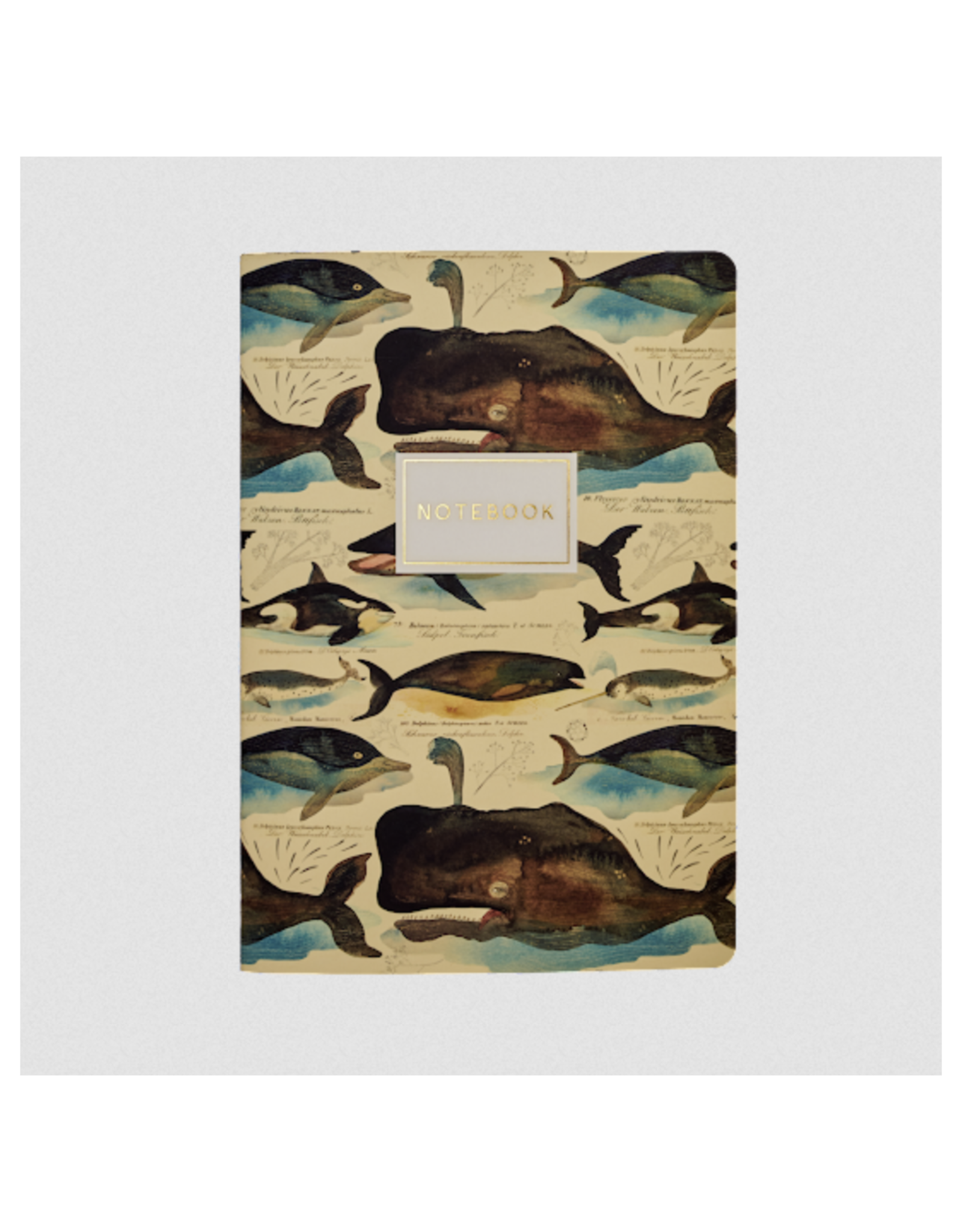 Whales Notebook