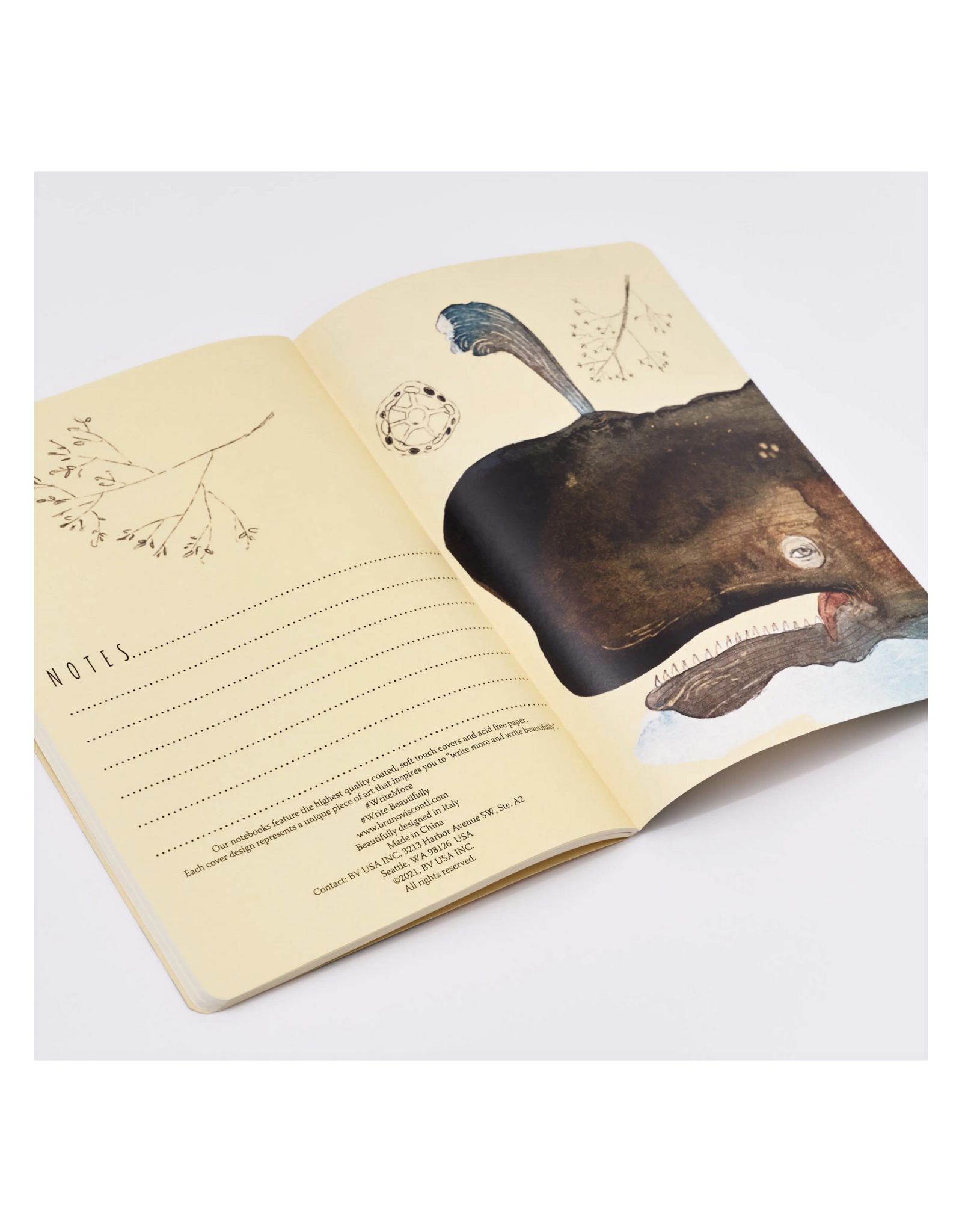 Whales Notebook