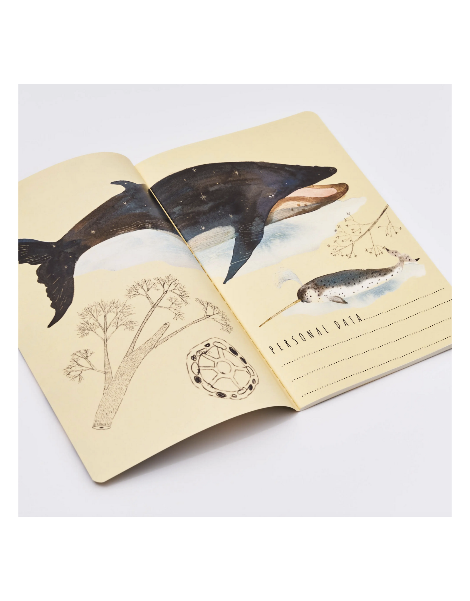 Whales Notebook