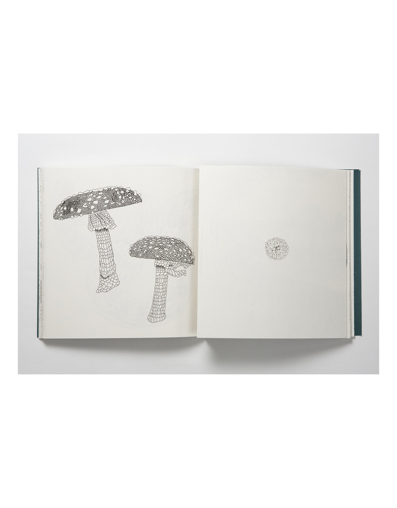 Nordic Wilderness Coloring Book