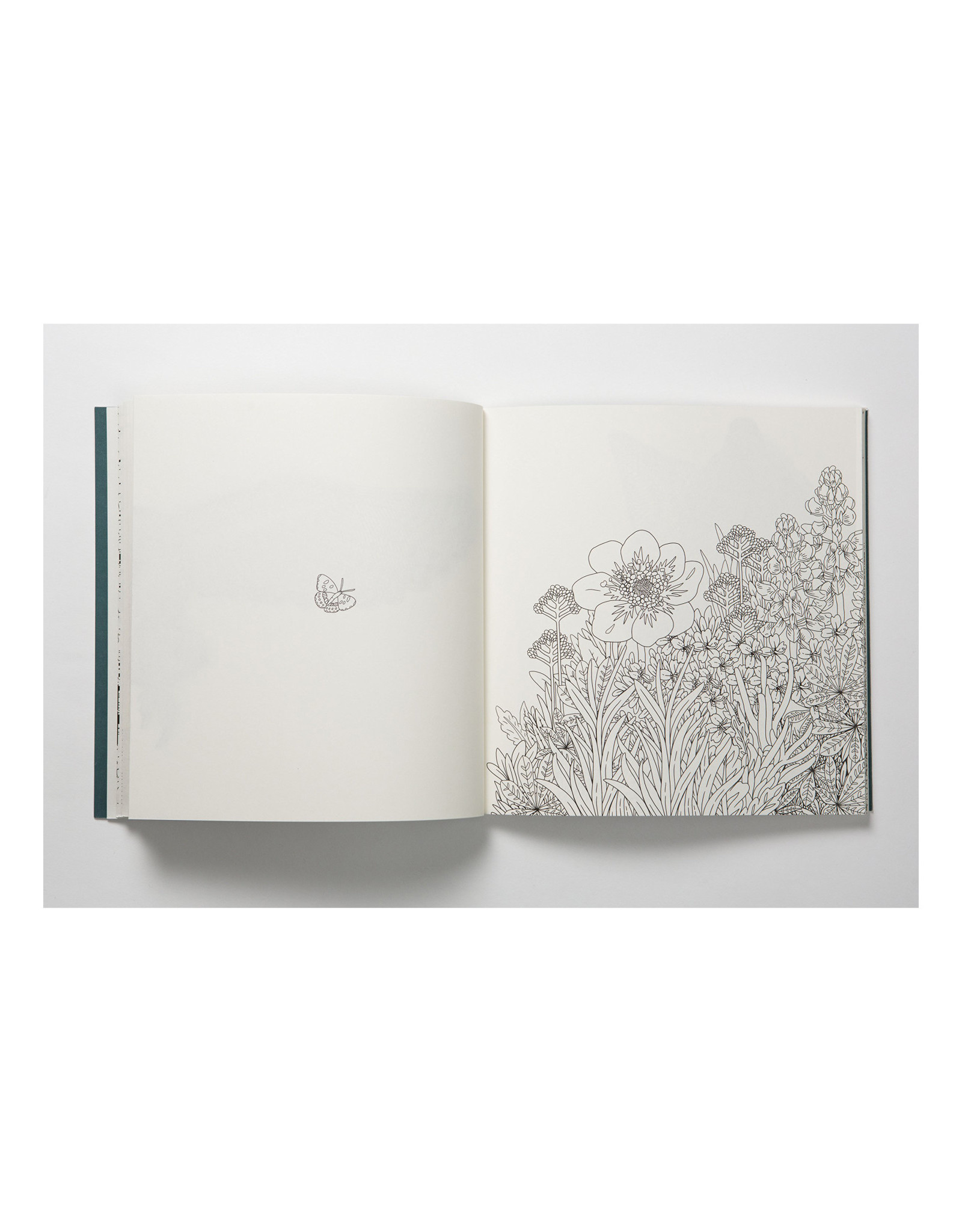 Nordic Wilderness Coloring Book