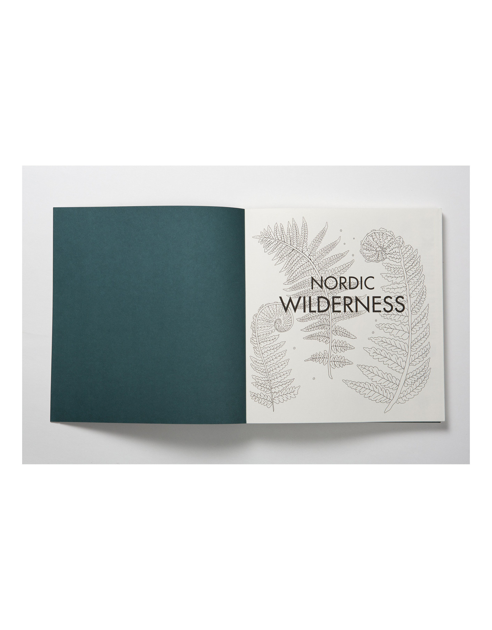 Nordic Wilderness Coloring Book