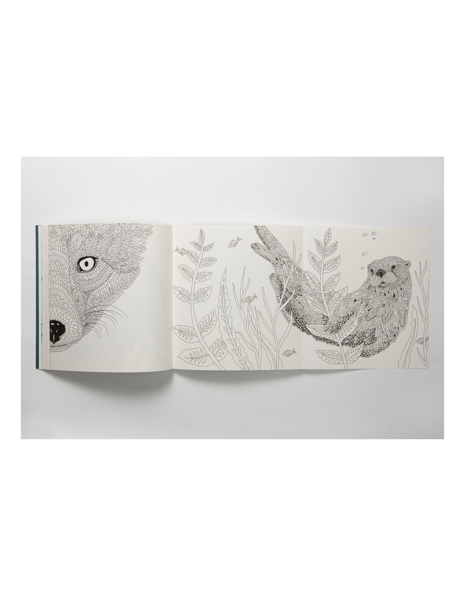 Nordic Wilderness Coloring Book