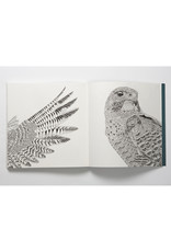 Nordic Wilderness Coloring Book