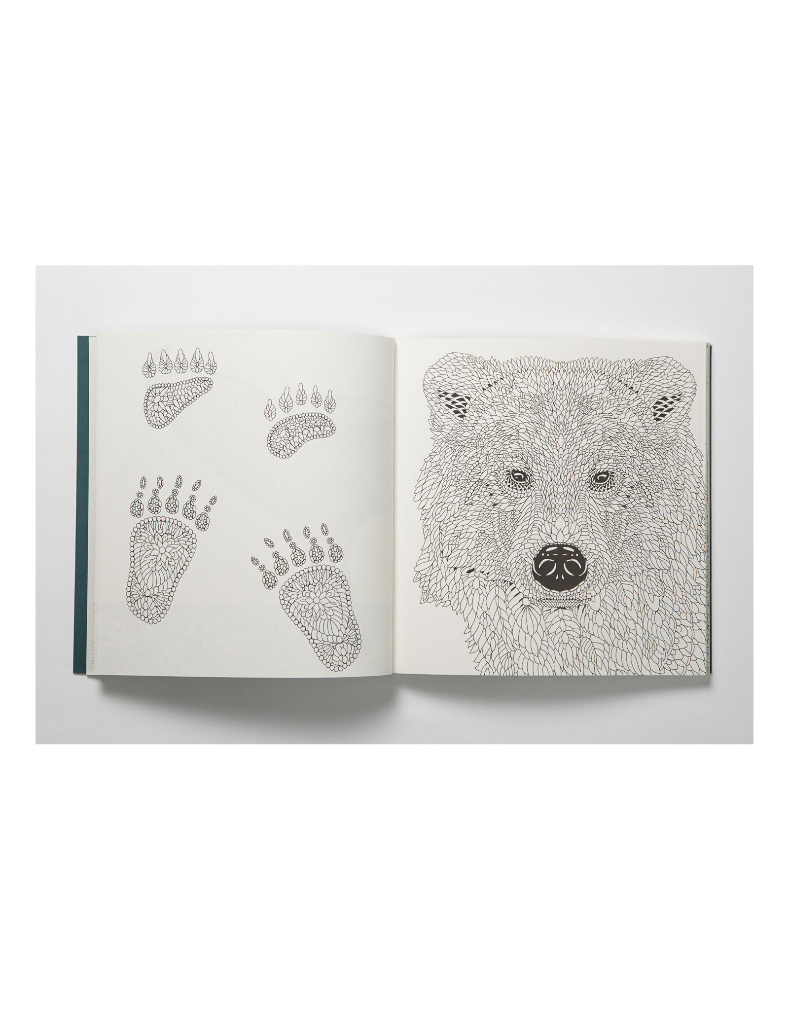 Nordic Wilderness Coloring Book