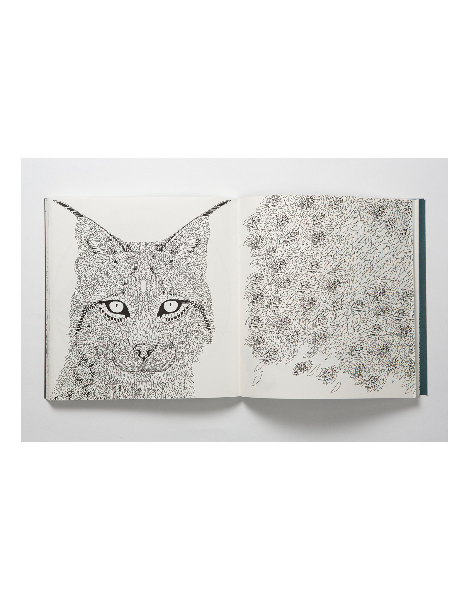 Nordic Wilderness Coloring Book