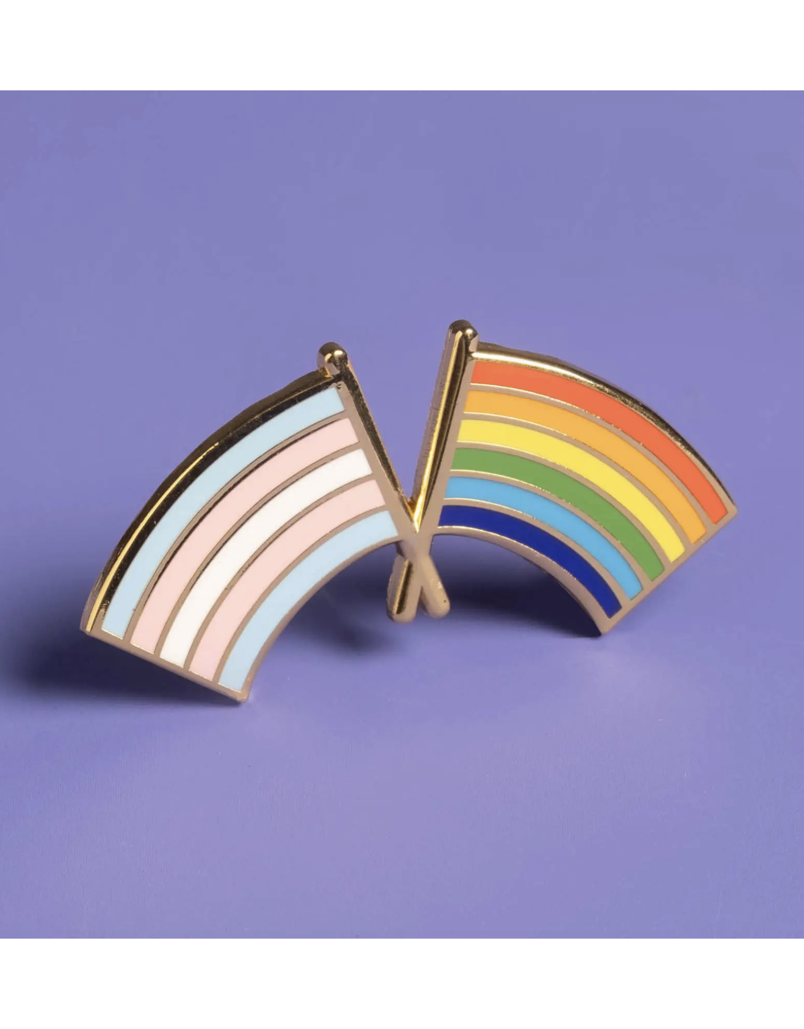 Trans and LGBTQ+ Flags Pin