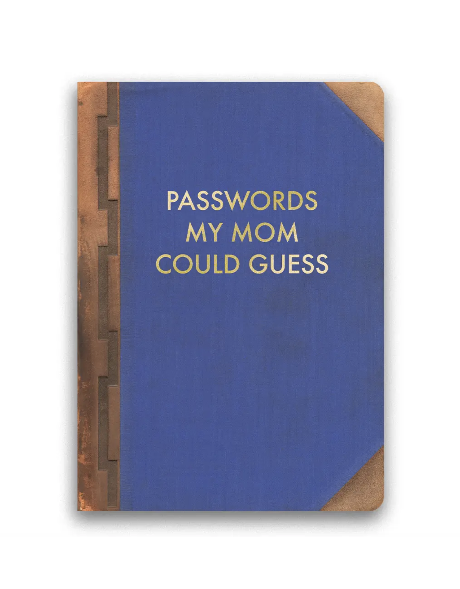 Passwords My Mom Could Guess Journal