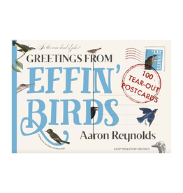 Greeting From Effin Birds Postcard Set