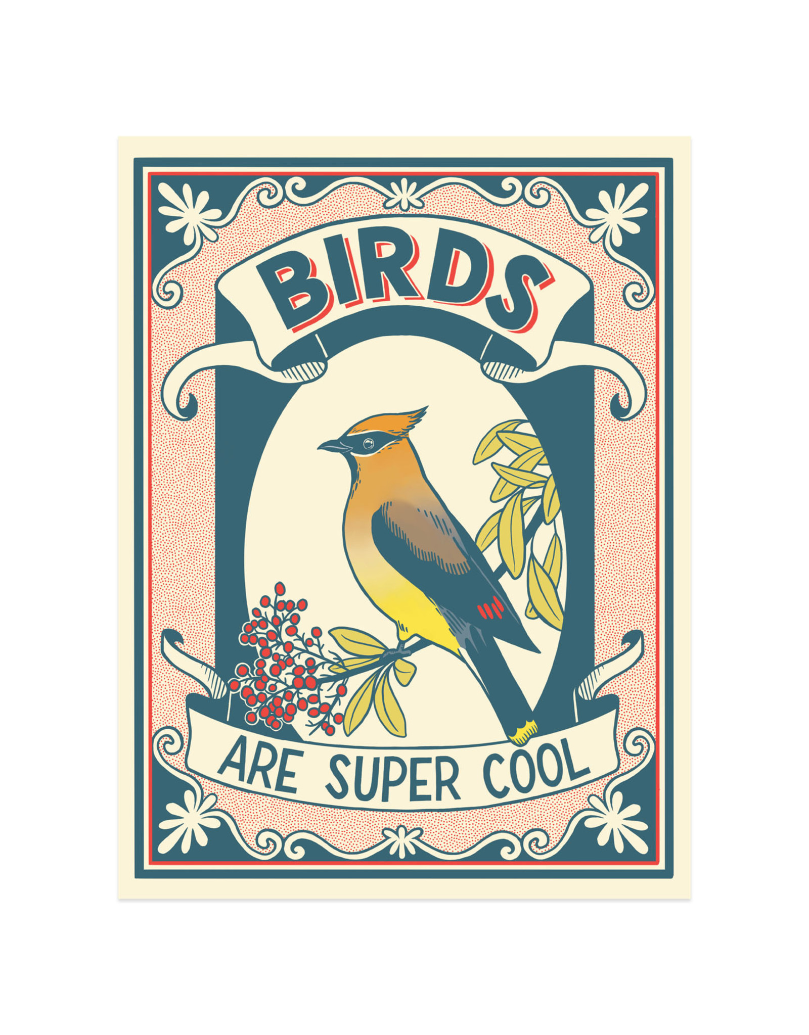 Birds Are Super Cool Print
