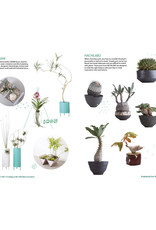 A Beginner's Guide to House Plants