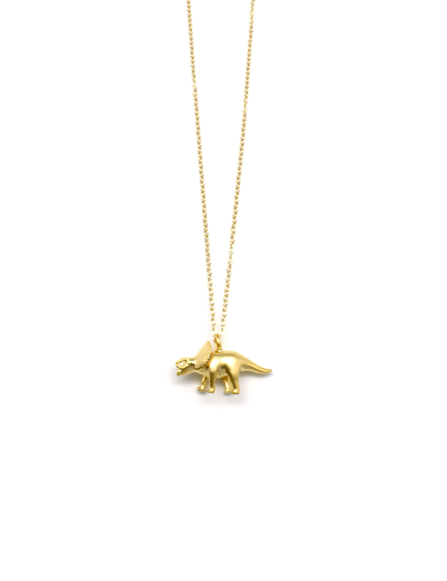 Pterodactyl Dinosaur Charm Necklace - Gold Finished Dinosaur Jewelry o –  Mark Poulin Jewelry