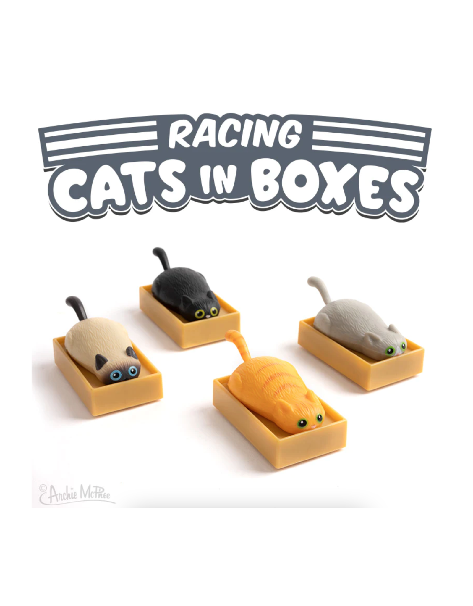 Racing Cat in a Box